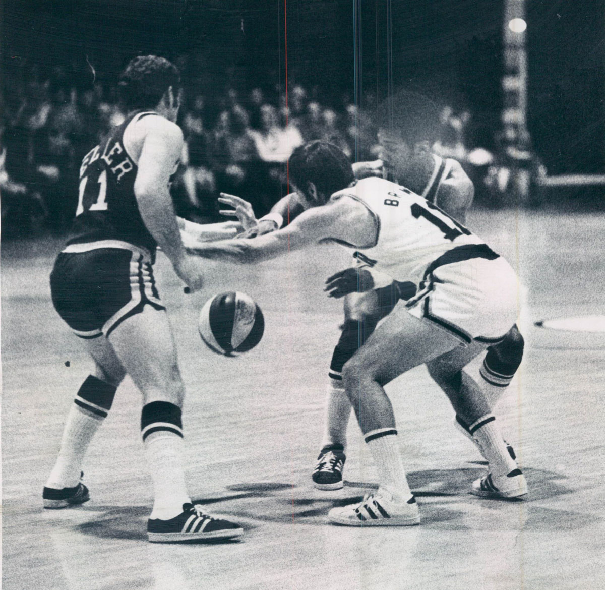 ABA Larry Brown